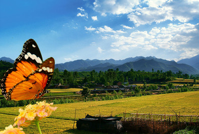 江苏南通市农业项目补贴政策最新消息--土流网