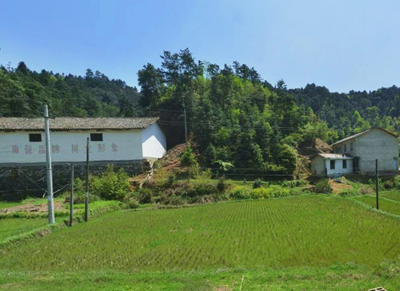 发展现代农业要关注四个安全构建八个体系