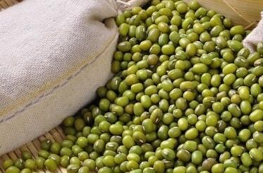 绿豆原产地在印度和缅甸 中国鄱阳有唯一黄色