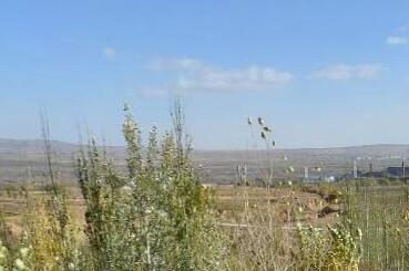 地役权是何时设立的?在我国如何办理地役权登