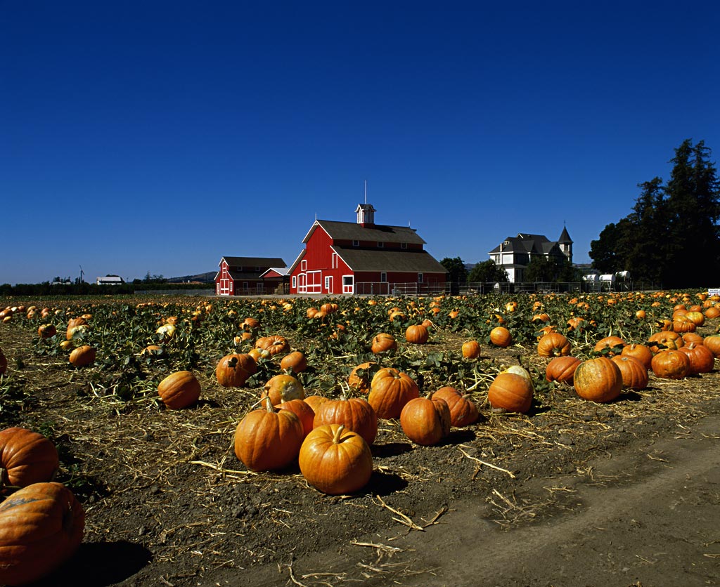 美国土地制度及土地流转的历史演变--土流网