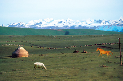 6年新疆和田市关于进一步加强和田地区土地估