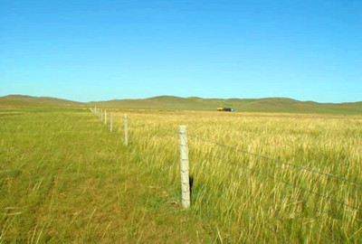 2016年甘肃省三大区域禁牧年补助标准确定--土