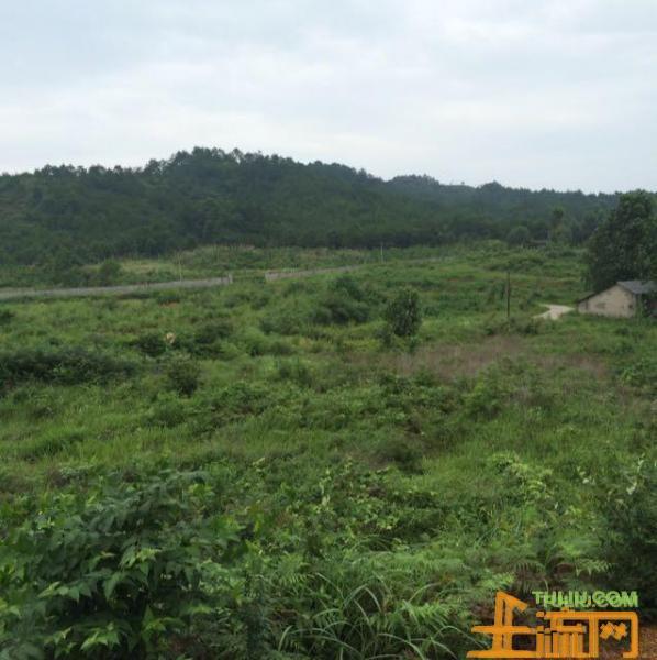 2017年合作社成农业补贴巨头,能拿到这些补贴