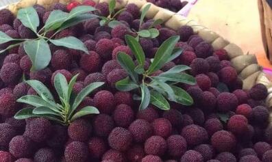 黄梅时节一般是什么季节?具体是阳历几月?--土