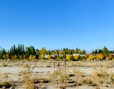 2016】关于调整乌鲁木齐市城镇土地使用税征