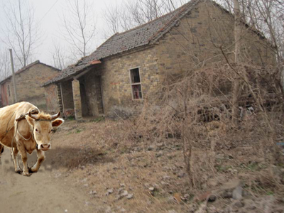 中共湖北省委 省人民政府关于全力推进精准扶