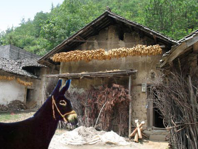 中共湖北省委 省人民政府关于全力推进精准扶