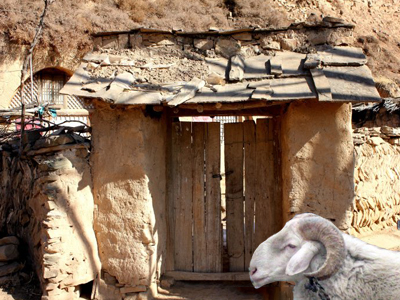 中共湖北省委 省人民政府关于全力推进精准扶