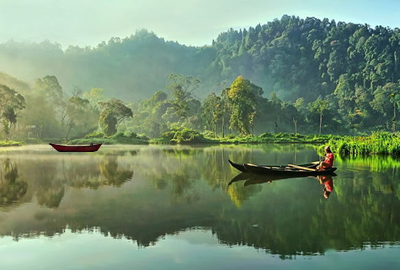 林业局印发《关于推进中国林业物联网发展的指