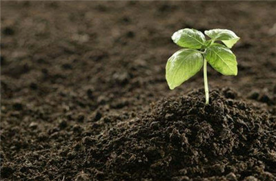 我国土壤污染现状--土流网