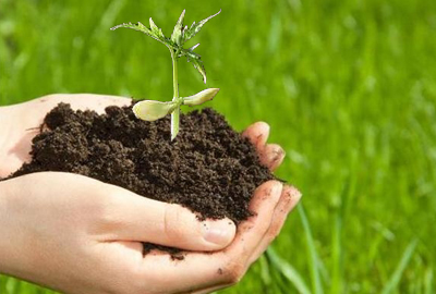 土壤污染的概念与特点--土流网