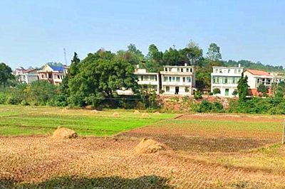 2016兴化市农业支持补贴政策(补贴对象、范围