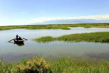 农业部将进一步规范农业建设项目审批权力--土