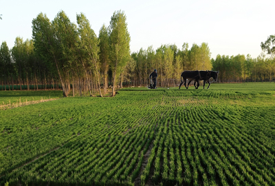 湖南省农业综合开发最新政策及申报指南--土流