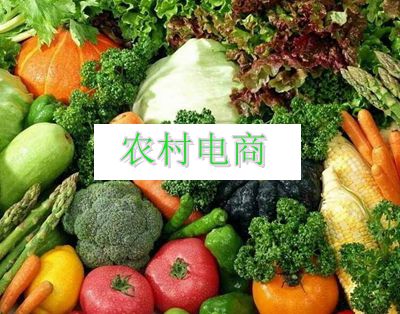 【2016】安阳市农村电子商务建设工作实施方