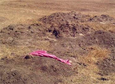 承包农村荒地有何政策?--土流网