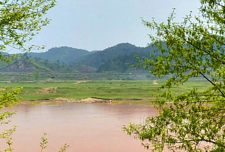 什么是植物的生活型?中国湿地植物的生活型如