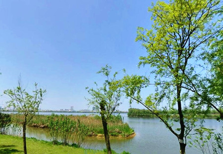 中国湿地植被的类型有哪些?--土流网