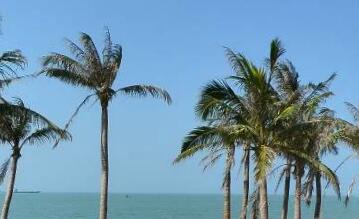 自然界常见的生物灾害通常有哪些?如何防治生