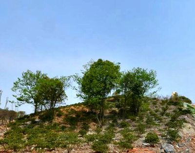 守住18亿亩红线 耕地大省指标上调