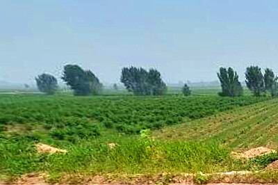 2016文山州加快转变农业发展方式推进高原特