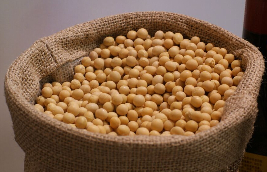 黄豆高产种植技术,黄豆怎样种植好?--土流网