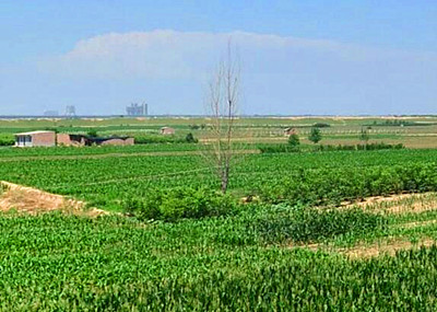 绥芬河市2016年耕地地力补贴将通过一折(卡)