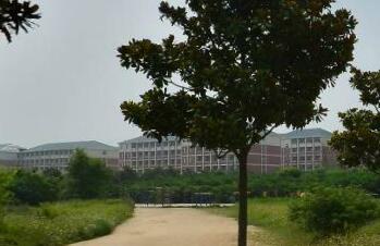 一村一品是什么意思?发展规划和实施方案有哪