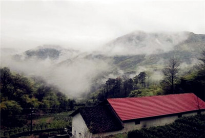 安吉十大特色农家乐排行榜