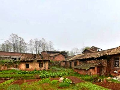 滁州市2016年合同帮农工作实施方案--土流网