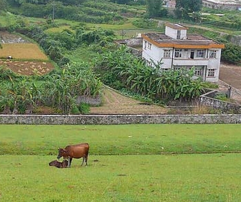土地是属于固定资产和无形资产中的哪一种?--