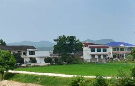 陆河新田镇土地确权工作完成指界宗地面积92