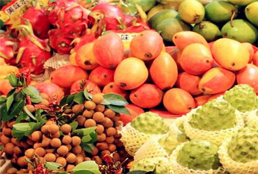 新疆可以种植莲藕、香蕉以及热带水果吗?--土