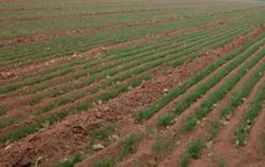 辽宁关于在农村土地承包经营权确权登记中依法