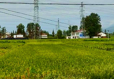 沙日浩来镇2016年农业支持保护补贴按照每亩