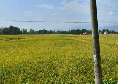 2016年伊宁县扶持农业农村发展促进农民持续