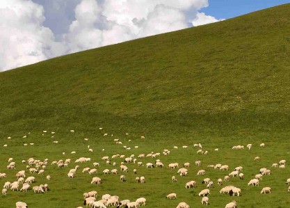 浅析合理开发草原旅游资源的原则和意义--土流