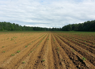 农村土地确权政策解读:政府什么情况下不予发