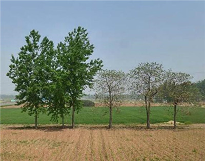 辽宁工商资本租赁农地要交风险金--土流网