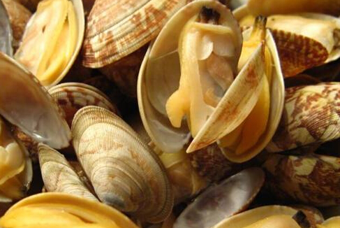 辽宁省有哪些有名的土特产?--土流网