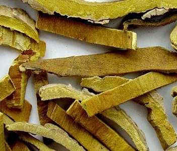 黑土地之乡的吉林适合种植哪些中药材呢?--土