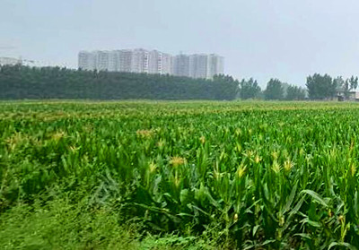 衡阳市十三五农业发展规划--土流网