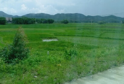云南省农村土地流转发展态势及相关政策--土流