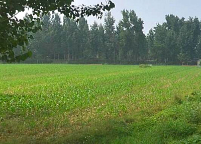 灵宝市农业产业化发展十三五规划(2015-202