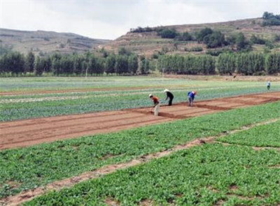 2016上半年农业农村经济保持平稳发展态势--土