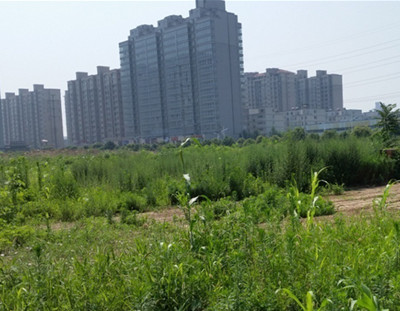 有关土地闲置费:是不是两年就要交土地闲置费