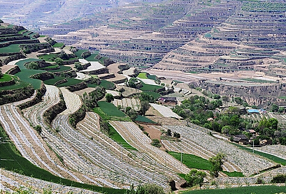 甘肃省探索建立农业利益联结机制--土流网