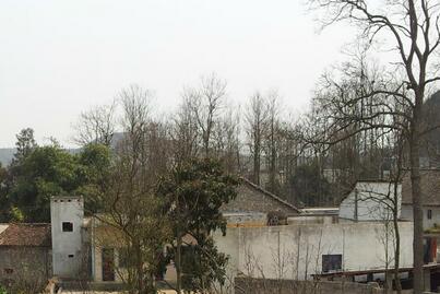 滥竽充数 云南1117名驻村干部被召回--土流网