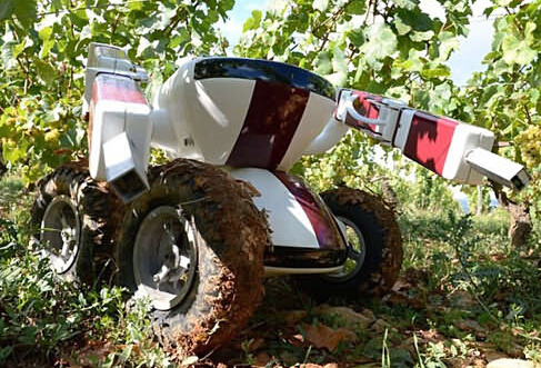 农业机器人这么酷,农民不久后都会被取代吗?-